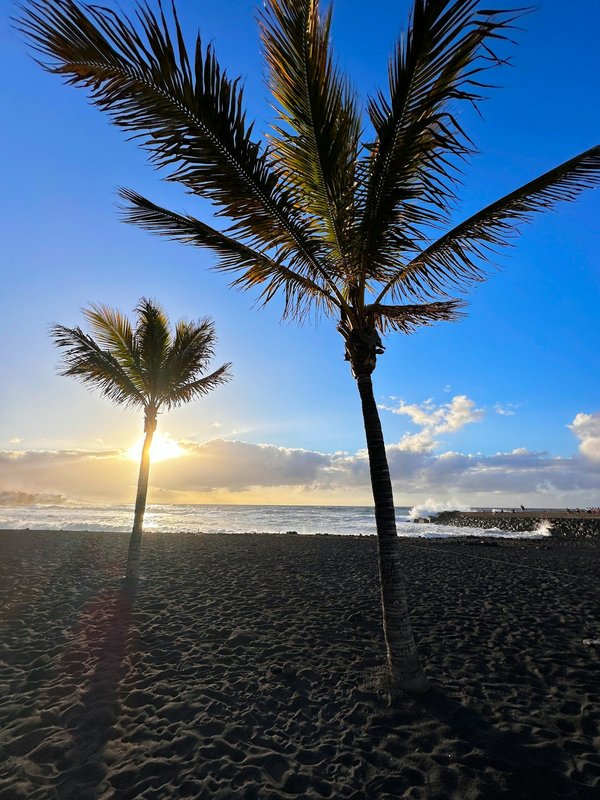 Paysagiste pau : aménagez votre jardin avec expertise